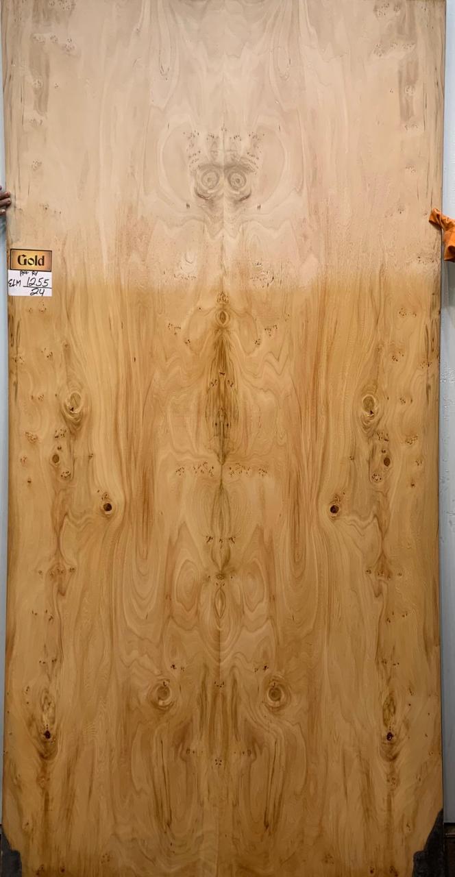Elm Burl