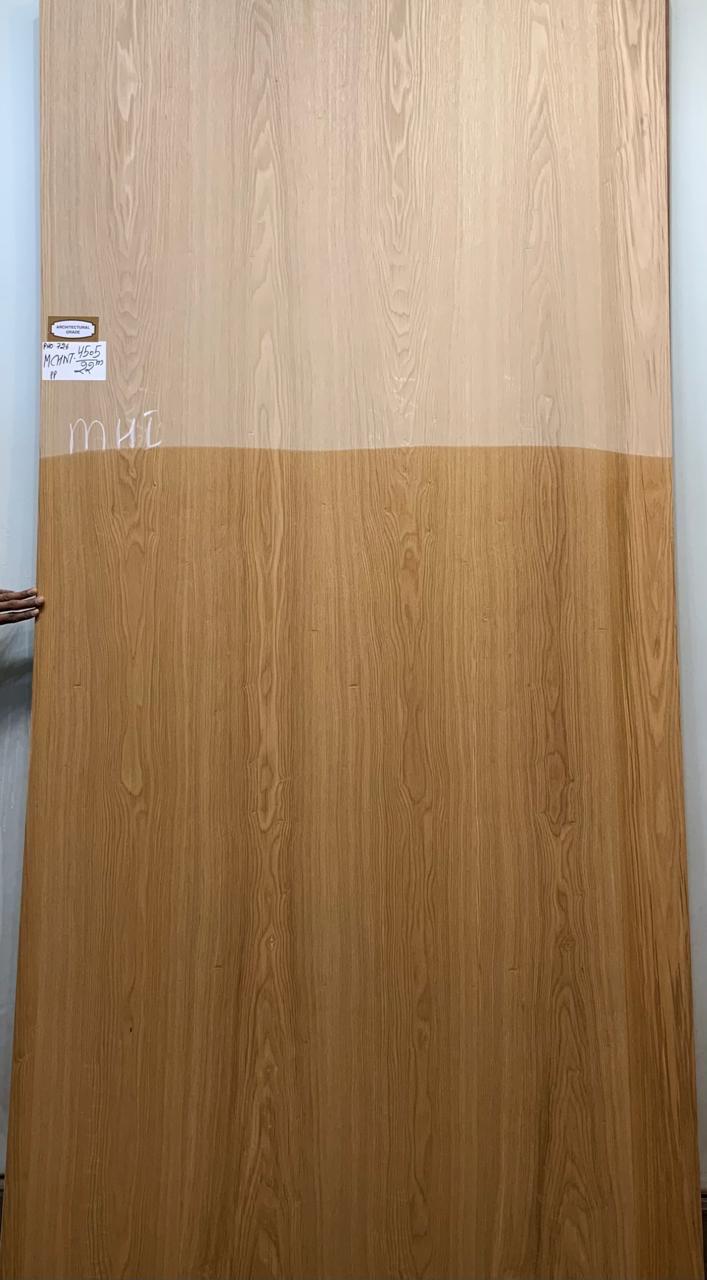 Mangolian Chestnut