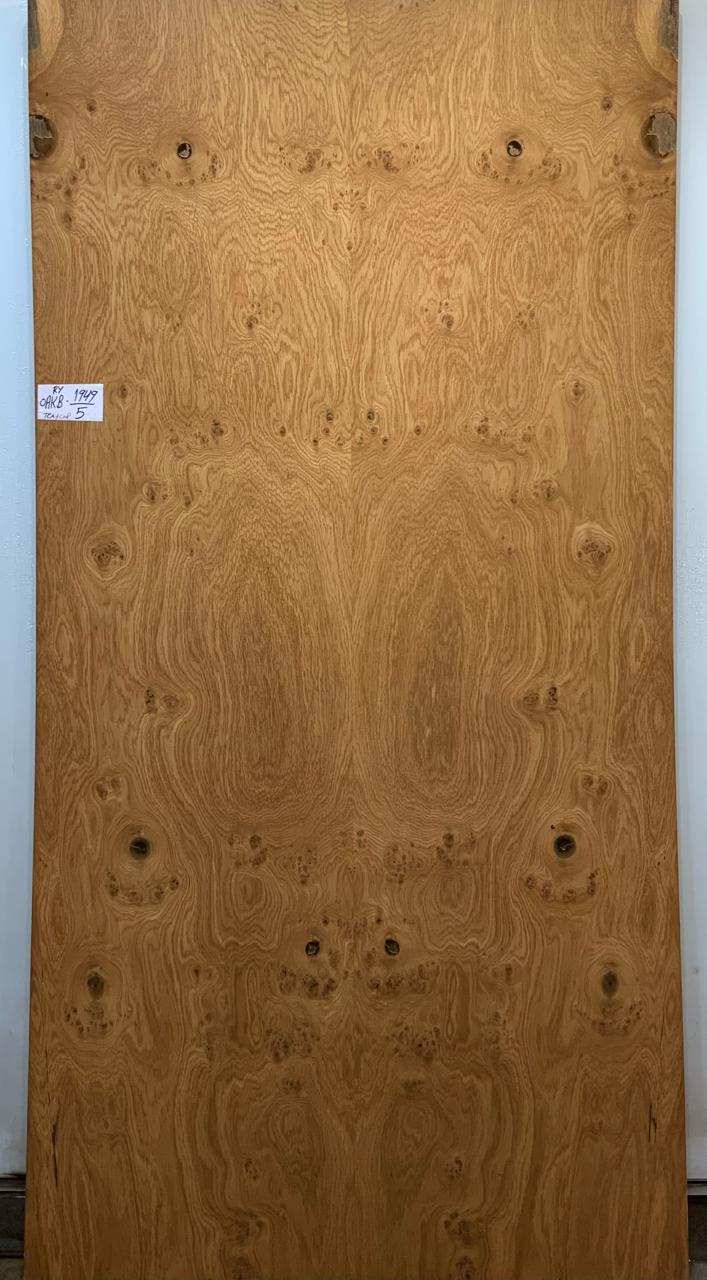 Oak Burl