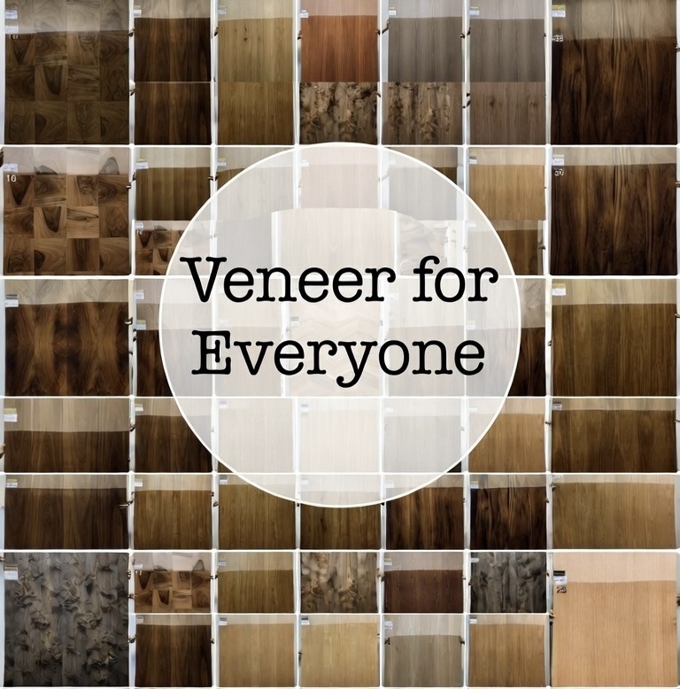 VENEER FOR EVERYONE